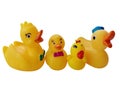 RUBBER DUCKS, WHITE BACKGROUND. Royalty Free Stock Photo