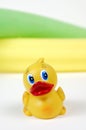 Rubber Ducky, Bath Time Royalty Free Stock Photo