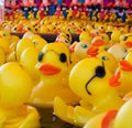 Rubber ducky carnival game with repeating colors Royalty Free Stock Photo