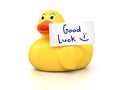 Rubber Ducky Good Luck