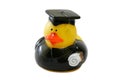 Rubber Ducky Graduating Royalty Free Stock Photo