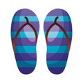 rubber flip flops accessory white background