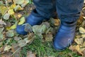 Rubber galoshes on the legs among the autumn leaves,