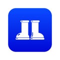 Rubber garden boots icon blue vector