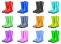 Rubber garden boots vector design illustration isolated on white background