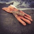 Rubber glove on the beach Royalty Free Stock Photo
