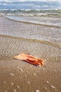 Rubber_glove_beach Royalty Free Stock Photo