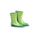 Rubber green boots isolated on white background for your creativity