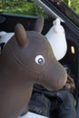 Rubber inflatable white cow, brown horse animal toys in the trunk of a car, with shadow reflection Royalty Free Stock Photo