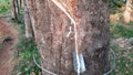 Rubber milk falls from the rubber tree