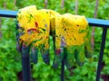 Paint Stained Yellow Rubber Gloves, Home DIY