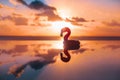 Rubber pink flamingo silhouette and reflection of sunset sky in swimming pool at tropical villa