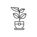 Rubber plant icon. Simple line, outline vector elements of house plants for ui and ux, website or mobile application