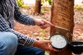 Rubber planters expertly tapping rubber trees, skillfully collecting the valuable latex for production