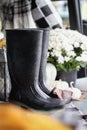Rubber Rain Boots Sitting on Front Porch Decorated for Autumn Royalty Free Stock Photo