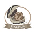 Rubber Seed Logo