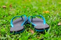 rubber slippers on lawn Royalty Free Stock Photo