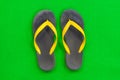 Rubber Slippers Placed on a green background