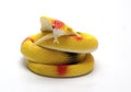 Rubber snake on a white background Royalty Free Stock Photo