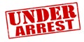 Under arrest Royalty Free Stock Photo