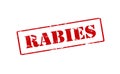 Rabies Royalty Free Stock Photo