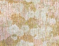 Rubber Tree Bark Texture Background Royalty Free Stock Photo