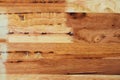 Rubber wood Texture Background