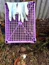 rubber working gloves on a plastic fruit crate