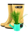 Rubber yellow boots with spring grass in the blue watering can Royalty Free Stock Photo