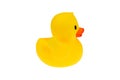 Rubber yellow duckling. On a white background, isolated