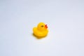 Rubber yellow ducks on a blue background . Children's toys. Ducks of the Kopi space. Blue background. Royalty Free Stock Photo