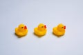 Rubber yellow ducks on a blue background . Children's toys. Ducks of the Kopi space. Blue background. Royalty Free Stock Photo