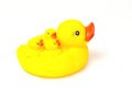 Rubber yellow ducks family