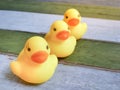 Rubber yellow ducks toy on wooden table background Royalty Free Stock Photo