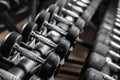 Rubbered Dumbbells on a stand in the gym Royalty Free Stock Photo