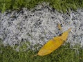 Rubbery base of soccer turf. Green synthetic artificial grass