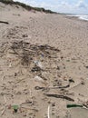 Litter on the beach Royalty Free Stock Photo