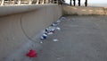 rubbish discarded by the sea front