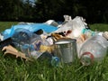 Rubbish in forest Royalty Free Stock Photo