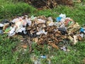 Rubbish heap in garden among vegetation