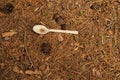 Rubbish in nature. Nature pollution of a plastic spoon