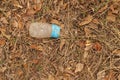 Rubbish in nature. Nature pollution of a plastic bottle