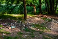 Rubbish. Plastic rubbish in natural forest. Waste materials and other trash around camp and picnic grounds in the forest. Royalty Free Stock Photo