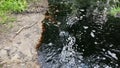 Rubbish and pollution in the river spoiling the environment. Black stream