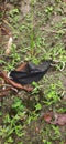 Rubbish used kf94 black mask