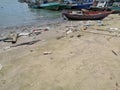 Rubbish from the waves washed into the beach