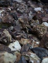 Rubble or dark gravel background, construction material. Gravel pebbles stone texture Royalty Free Stock Photo