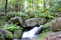 Rubble slope in the forest with boulders overgrown with moss between which flows a stream with small cascades and waterfalls, fern