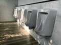 urinals for men in toilet room. Royalty Free Stock Photo