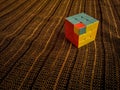 Rubik& x27;s cube